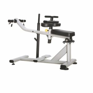 Seated Calf Machine J-029