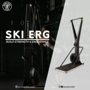 Iron Fist Pro SkiErg