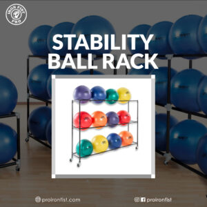 Iron Fist Pro Stability Ball Rack